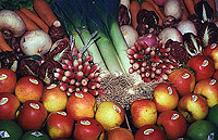 Fruits legumes